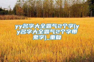 yy名字大全霸气2个字(yy名字大全霸气2个字带鬼字)_重复