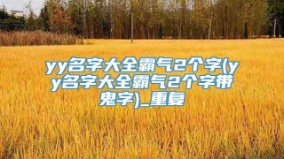 yy名字大全霸气2个字(yy名字大全霸气2个字带鬼字)_重复