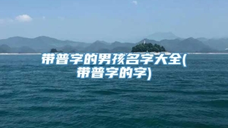 带普字的男孩名字大全(带普字的字)