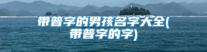 带普字的男孩名字大全(带普字的字)