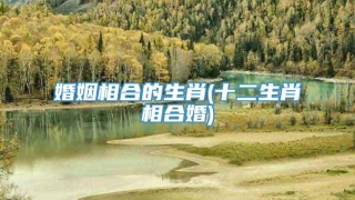 婚姻相合的生肖(十二生肖相合婚)