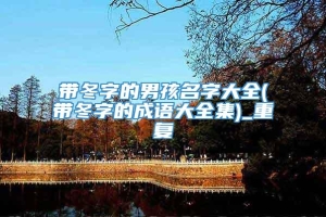带冬字的男孩名字大全(带冬字的成语大全集)_重复