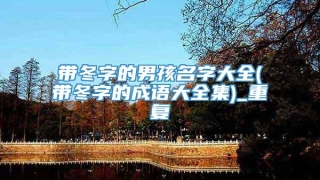 带冬字的男孩名字大全(带冬字的成语大全集)_重复