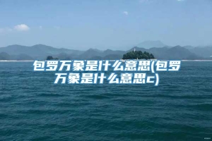 包罗万象是什么意思(包罗万象是什么意思c)