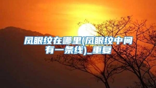 凤眼纹在哪里(凤眼纹中间有一条线)_重复