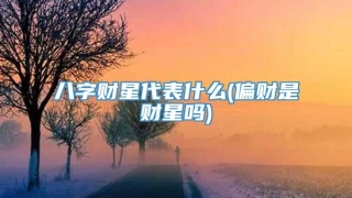 八字财星代表什么(偏财是财星吗)
