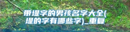带堤字的男孩名字大全(堤的字有哪些字)_重复
