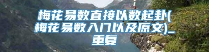 梅花易数直接以数起卦(梅花易数入门以及原文)_重复