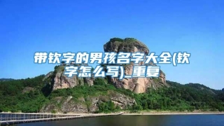 带钦字的男孩名字大全(钦字怎么写)_重复