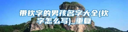 带钦字的男孩名字大全(钦字怎么写)_重复