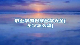 带丕字的男孩名字大全(丕字怎么念)