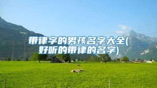 带律字的男孩名字大全(好听的带律的名字)