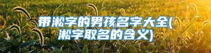 带淞字的男孩名字大全(淞字取名的含义)