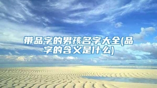 带品字的男孩名字大全(品字的含义是什么)