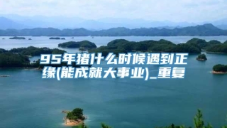 95年猪什么时候遇到正缘(能成就大事业)_重复