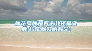 梅花易数是看主卦还是变卦(梅花易数测寿命)