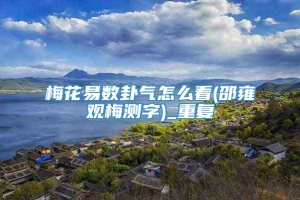 梅花易数卦气怎么看(邵雍观梅测字)_重复