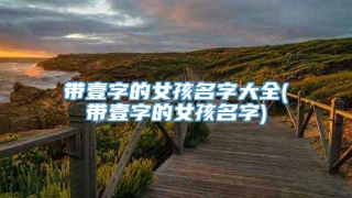 带壹字的女孩名字大全(带壹字的女孩名字)