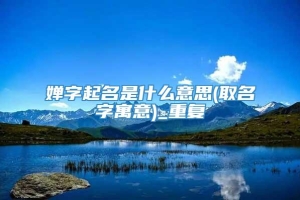 婵字起名是什么意思(取名字寓意)_重复