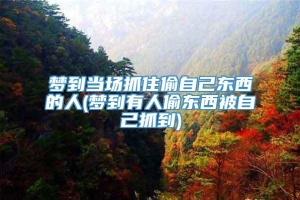 梦到当场抓住偷自己东西的人(梦到有人偷东西被自己抓到)