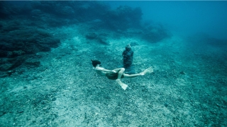 不会游泳的女人梦见自己游泳(女人做梦游泳周公解梦)_重复