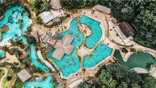 梦到锦鲤(做梦梦见锦鲤是什么意思)