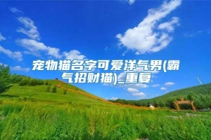 宠物猫名字可爱洋气男(霸气招财猫)_重复