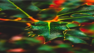 八卦镜有哪些风水作用(八卦镜是什么样子的)