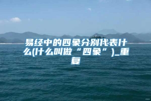 易经中的四象分别代表什么(什么叫做“四象”)_重复