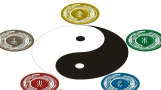 86年属虎今天财运方位(12生肖财运方位揭秘)