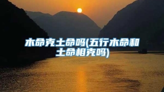 木命克土命吗(五行木命和土命相克吗)
