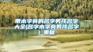 带木字旁的名字男孩名字大全(名字木字旁男孩名字)_重复