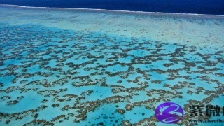 八字纯阳的绝世好命 八字纯阳之人多吗