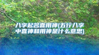 八字起名喜用神(五行八字中喜神和用神是什么意思)