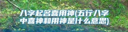 八字起名喜用神(五行八字中喜神和用神是什么意思)