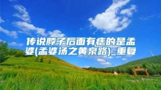 传说脖子后面有痣的是孟婆(孟婆汤之黄泉路)_重复