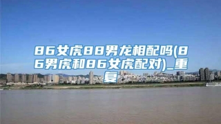 86女虎88男龙相配吗(86男虎和86女虎配对)_重复