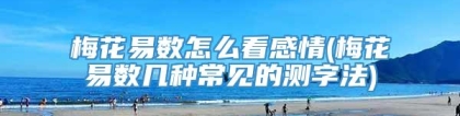 梅花易数怎么看感情(梅花易数几种常见的测字法)