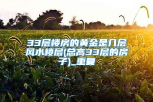 33层楼房的黄金是几层风水楼层(总高33层的房子)_重复