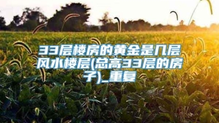 33层楼房的黄金是几层风水楼层(总高33层的房子)_重复