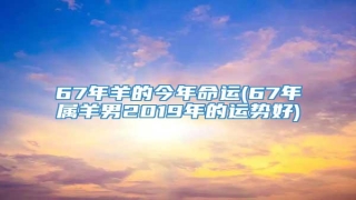 67年羊的今年命运(67年属羊男2019年的运势好)