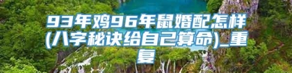 93年鸡96年鼠婚配怎样(八字秘诀给自己算命)_重复