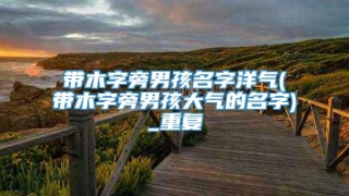 带木字旁男孩名字洋气(带木字旁男孩大气的名字)_重复