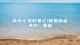 新梅花易数集论(他看麻雀争吵)_重复