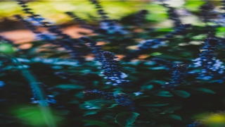 2021牛宝宝起名大全免费取名(2021年男孩名字大全免费)_重复