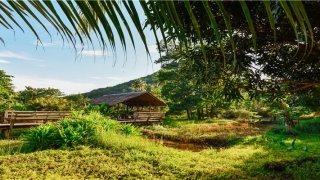 面相宫位怎么看(面相宫位图)