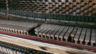 单身梦见自己结婚是什么预兆(王力宏为什么会爱上李靓蕾)_重复