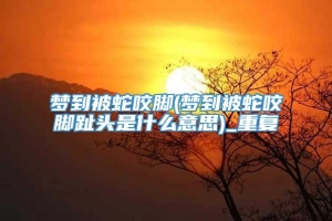 梦到被蛇咬脚(梦到被蛇咬脚趾头是什么意思)_重复