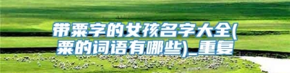 带粟字的女孩名字大全(粟的词语有哪些)_重复