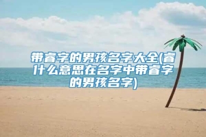 带睿字的男孩名字大全(睿什么意思在名字中带睿字的男孩名字)